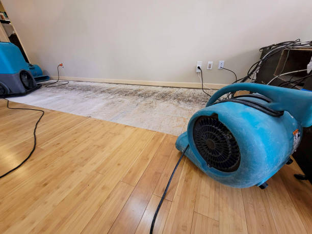 Professional Sewage Cleanup technician working in Gordon, TX